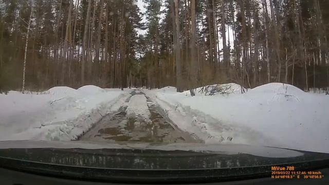 выезд из сказки в лесу смотреть онлайн
