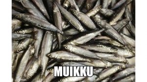 САМЫЙ ЛУЧШИЙ ФИНСКИЙ. УРОК 11. RUOKA. ВИДЕОУРОКИ ФИНСКОГО ЯЗЫКА.