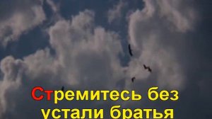 Гимны Надежды - 151. Просите и будет дано вам