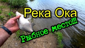 Рыбалка на Оке. Лещёвые места!