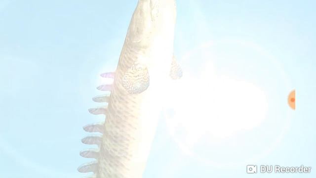 Рыбачим вместе!