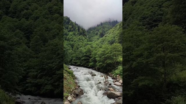 Зона комфорта #shorts.mp4 смотреть онлайн