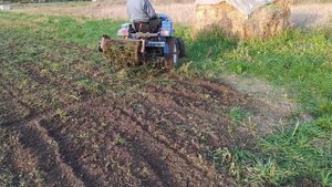 На что способен МОТОТРАКТОР с фрезой. Тяжёлая пахота!!! Тяни толкай