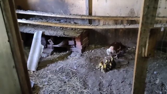 Беби Бум 2022 смотреть онлайн