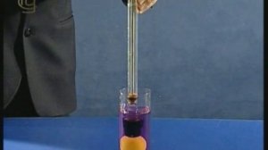 Опыты по физике. Передача давления жидкостями