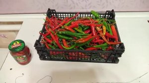 как консервировать горький перец???