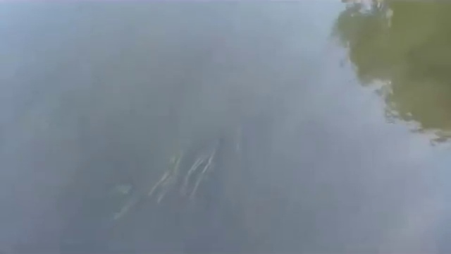 Комплекс добычи и промывки речного песка смотреть онлайн