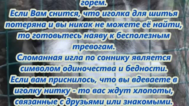 К чему снятся иголки смотреть онлайн