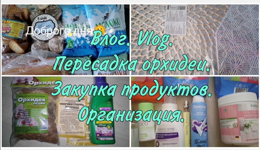 Влог. Пересадка орхидеи. Закупка продуктов. Пустые баночки. Организация хранения.