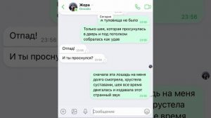 МЕНЯ РАЗБУДИЛА ДОЛГОВЯЗАЯ ЛОШАДЬ (LONG HORSE)