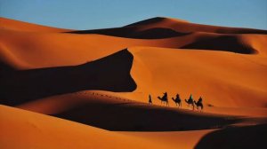 МУЗЫКА НАРОДОВ ПУСТЫНИ