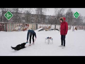 Анонс. Канал Зоо ТВ. Мой питомец взбесился.