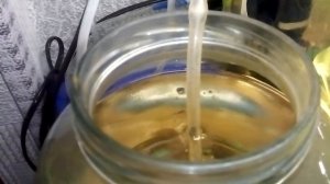 мой аквариум без грунта