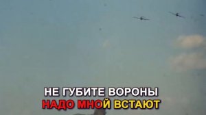 Виктория Черенцова  Вороны Караоке