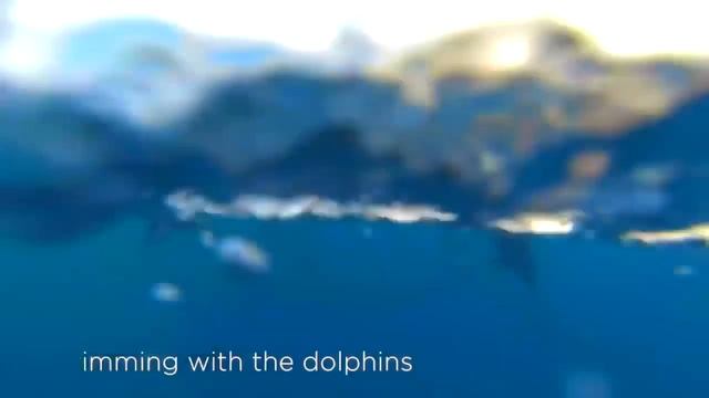 MARADIVA VILLAS RESORT & SPA HOTEL 5* Mauritius смотреть онлайн