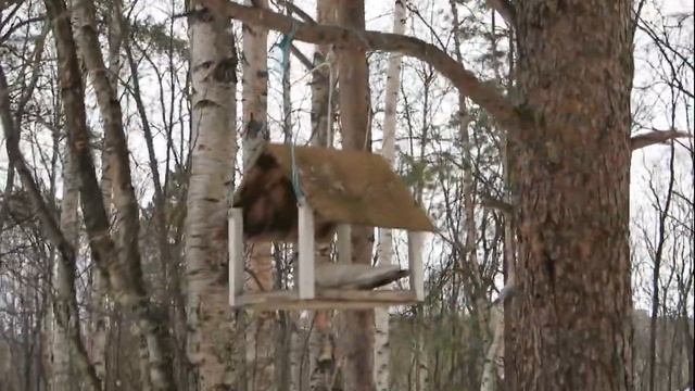 Вместо рыбалки гоняю с внучкой принцессой на ватрушке,не справился с ватрушкой перевернулись смотреть онлайн