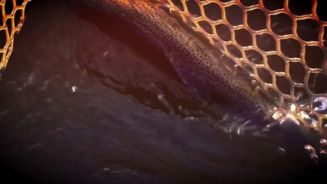 5-й Рейтинговый Турнир Форелевой Лиги (прудовая ловля форели) смотреть онлайн