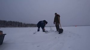 Ловим налимов. Сезон открыт. Первый налим.