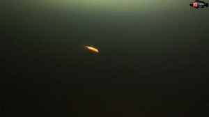 ТА Самая СЕМЕЧКА...Williams Wabler || ПОДВОДНАЯ СЪЁМКА || Форелевый ХИТ !