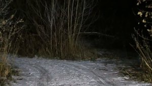Светопроект. Установка светодиодной балки.