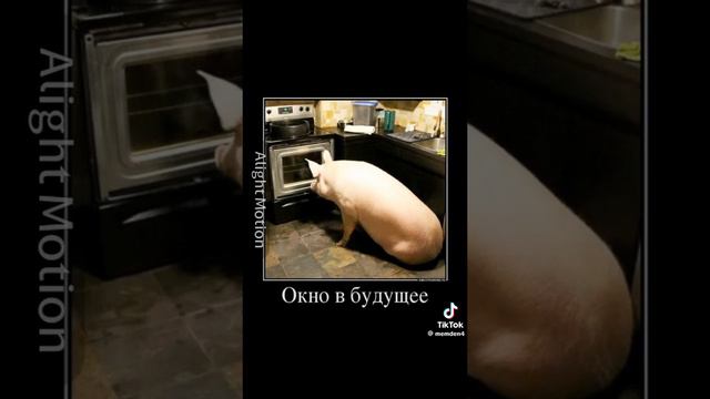 окно в будущее