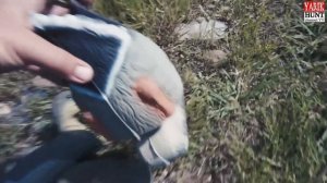 Что важно знать про утиные чучела