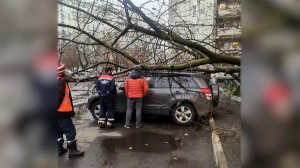 В Москве началась большая уборка после урагана