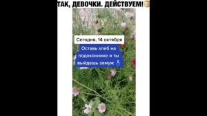 ПРИКОЛ - так, девочки, действуем