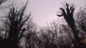 Охота на вяхиря Краснодарский Край