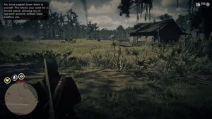 Red Dead Redemption 2 Carolina Parakeet 100 % Spawn Location