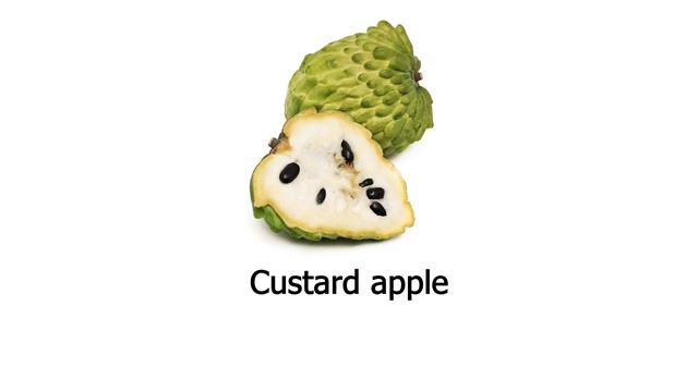 100+ Fruits name l Fruits name  in English with pictures l vocabulary for beginners