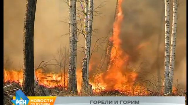 Лесной пожар подошёл вплотную к нефтепроводу в Усольском районе смотреть онлайн