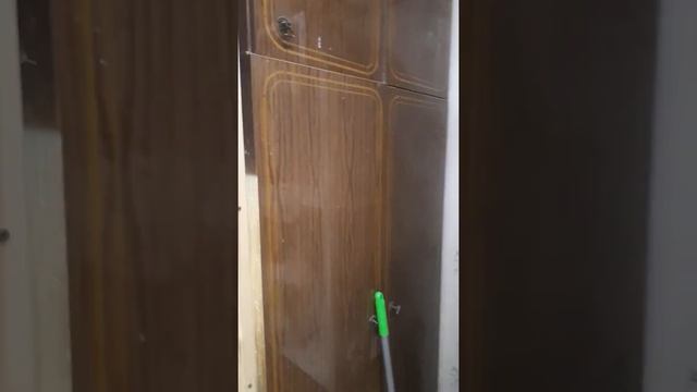 Как живут неразлучники у заводчика Тата г.Иваново.Часть 2. смотреть онлайн