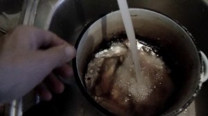 Засолка рыбы плотва в домашних условиях..mp4