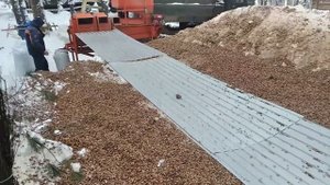 Шишкодробилка - процесс переработки кедровой шишки зимой