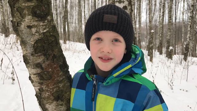 Белая берёза смотреть онлайн