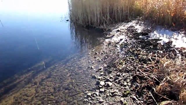 Рыбалка и рыбы нет смотреть онлайн