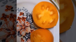 Томат СТАКАНЫ МИНУСИНСКИЕ ОРАНЖЕВЫЕ в разрезе. Ярославская обл.