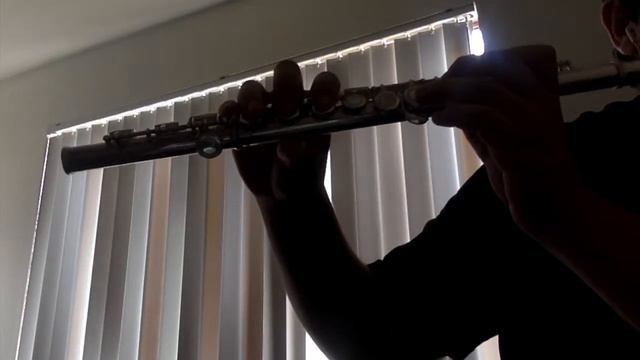 Lana Del Rey - Video Games (Flute Cover) смотреть онлайн
