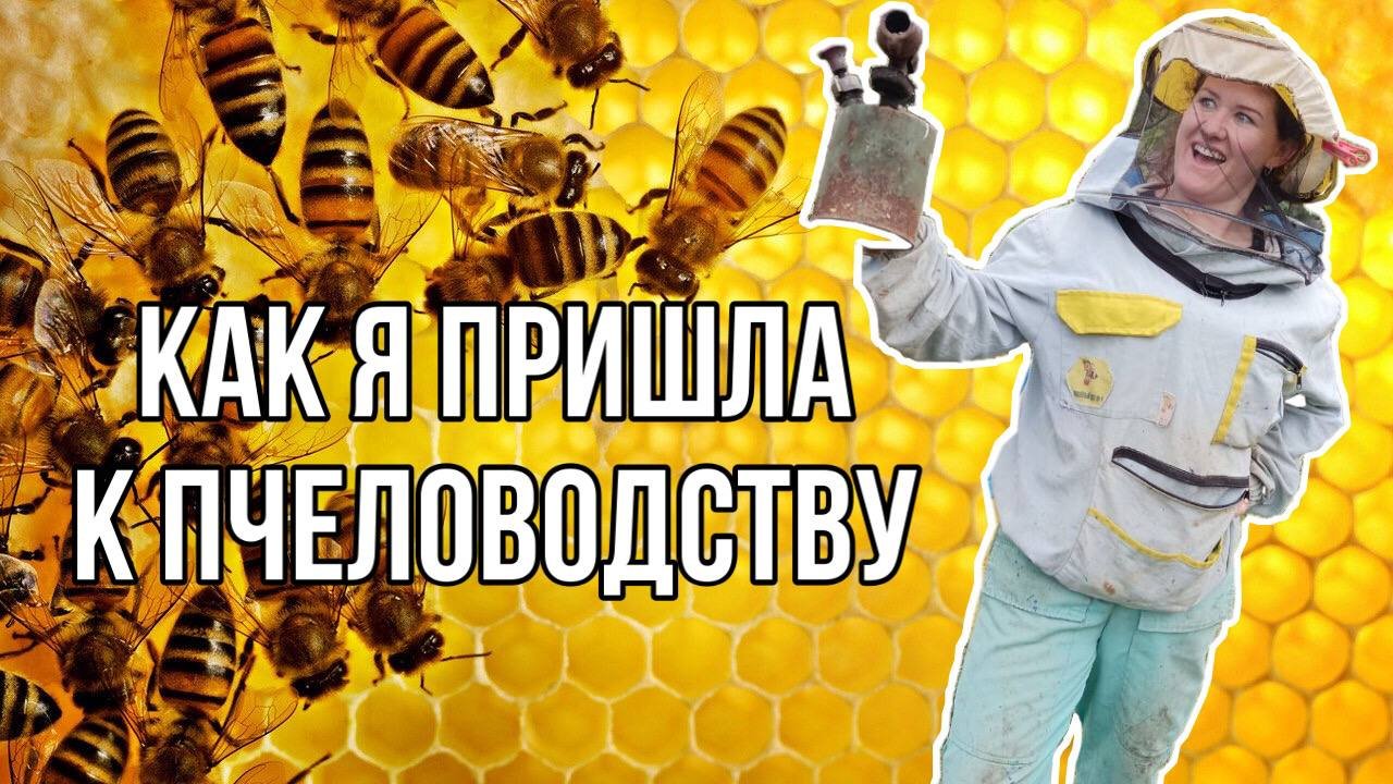 Пчеловодство для начинающих