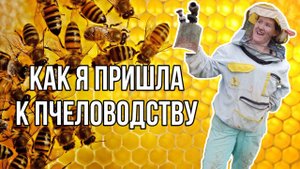 Пчеловодство для начинающих