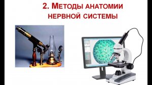 02 Анатомия ЦНС для психологов. Методы анатомии. Анатомическая номенклатура