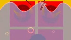 Windows 11.EXE Buttons D