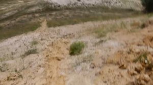 Станица Раздорская