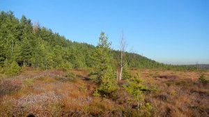 Золотая Осень 2022 (3)