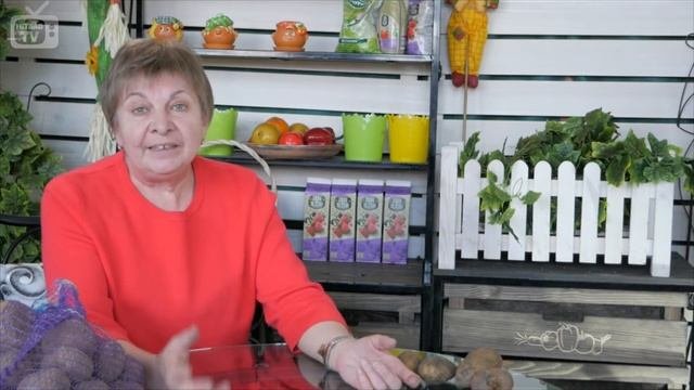 Все о посадке картофеля ? Как выбрать клубни ✅ Подготовка семян к посадке