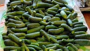 Супер рецепт консервации огурцов