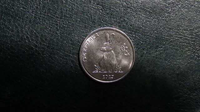 чем различаются зайцы от кроликов смотреть онлайн