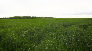 АгроДрон беспилотные технологии