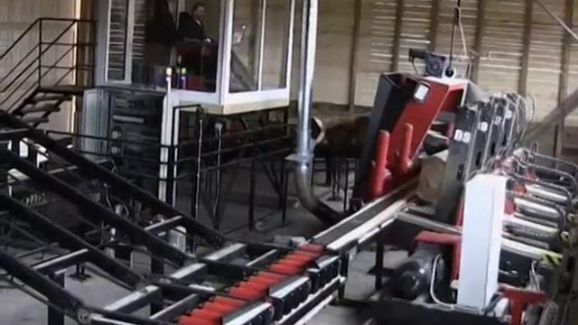 D9 Germany смотреть онлайн